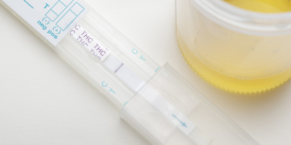 does synthetic urine work for drug test
