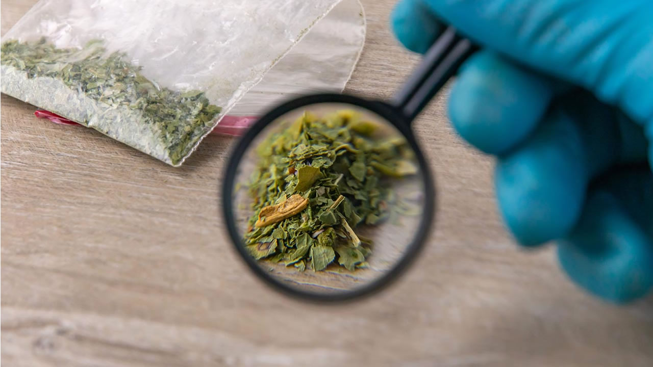 synthetic weed in a drug test