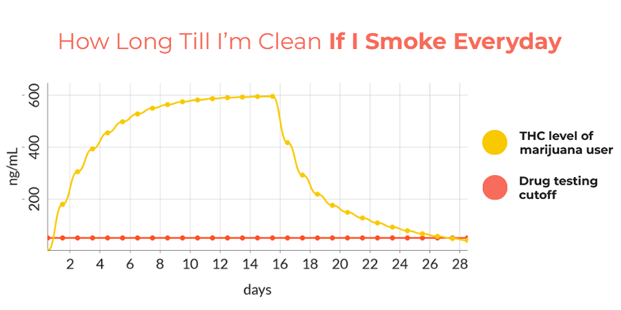 how long till I’m clean if I smoke everyday