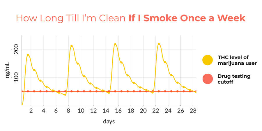 how long till I’m clean if I smoke once a week