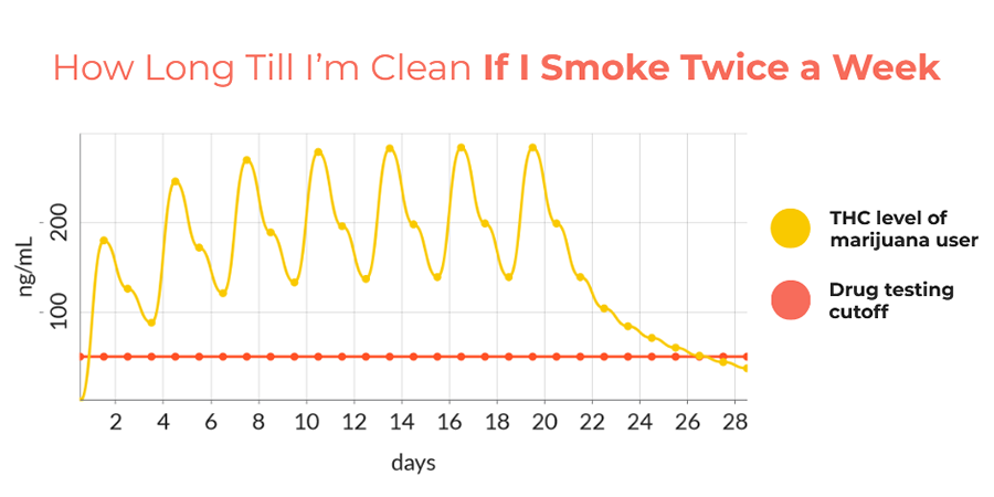 how long till I’m clean if I smoke twice a week