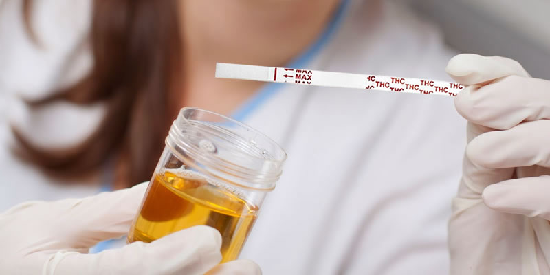 thc urine test strip